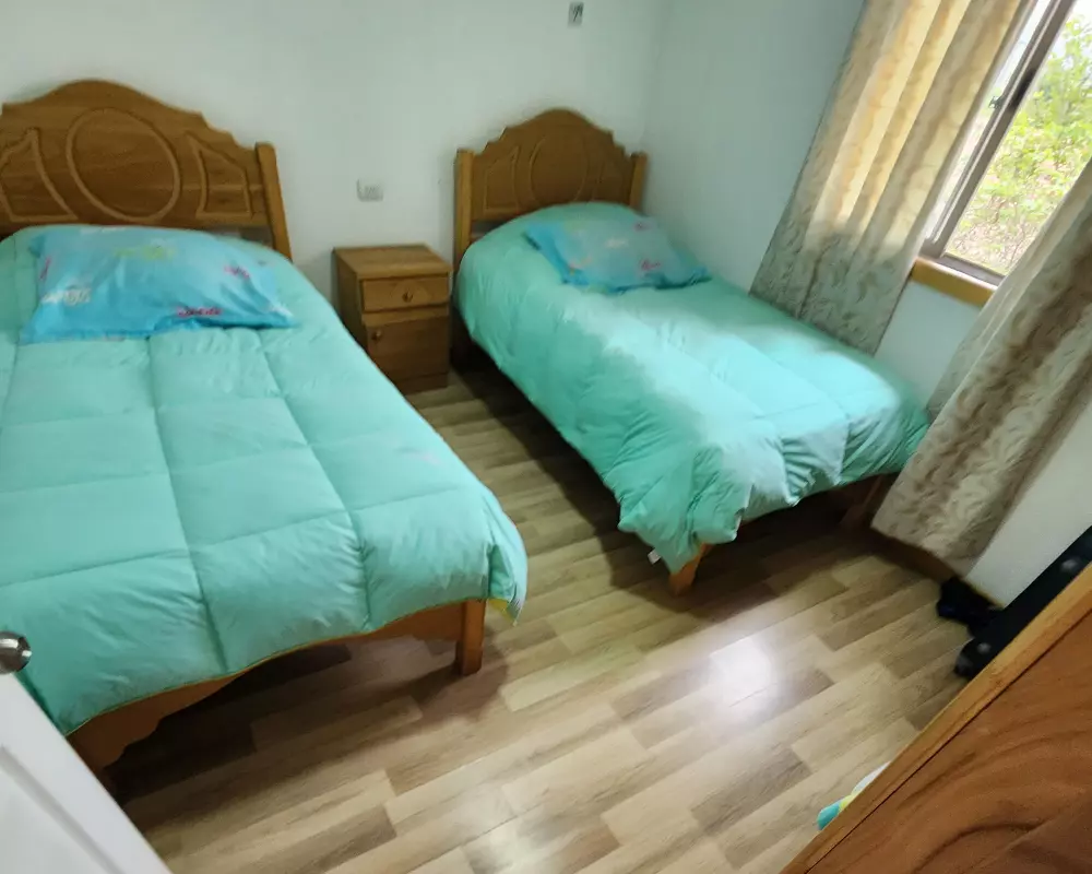 El Olivo y La Palmera_portada